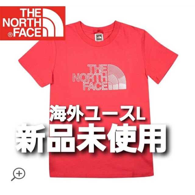THE NORTH FACE(ザノースフェイス)のロゴTシャツ THE NORTH FACE レディースのトップス(カットソー(長袖/七分))の商品写真