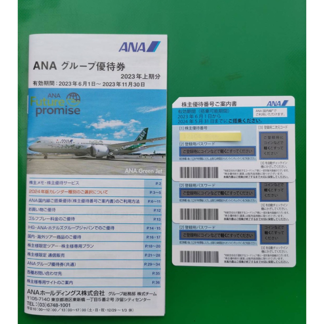 ANA(全日本空輸)(エーエヌエー(ゼンニッポンクウユ))の【来年5月末まで使用可能】ANA株主優待優待券　3枚 チケットの乗車券/交通券(航空券)の商品写真