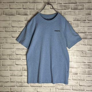 パタゴニア(patagonia)の【超希少デザイン】パタゴニア　フィッシュロゴTシャツ　バックプリント　M149(Tシャツ/カットソー(半袖/袖なし))