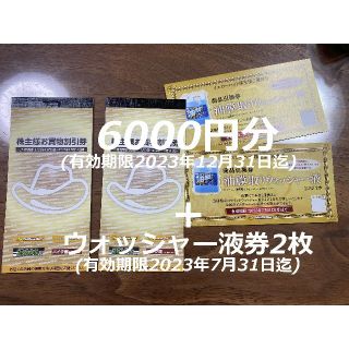 6000円分+ウォッシャー液券2枚 イエローハット 株主優待 株主優待券(ショッピング)