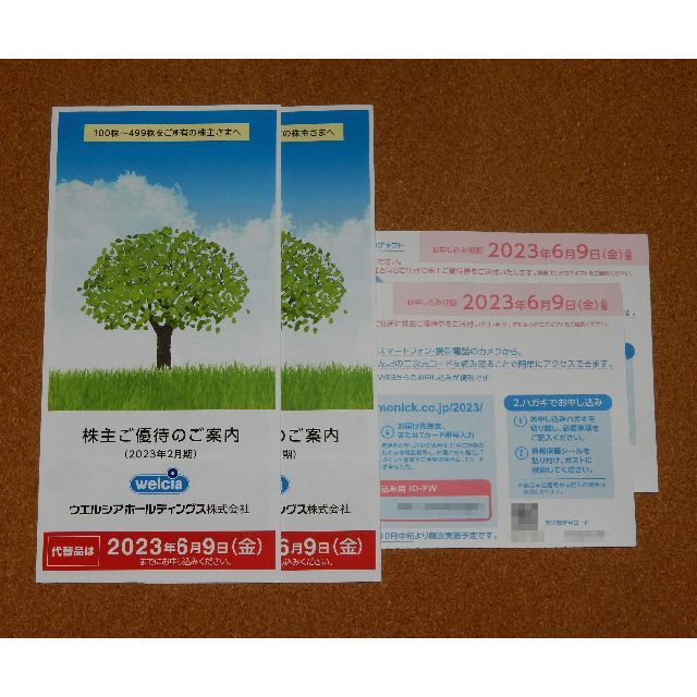 【送料無料】ウェルシア 株主優待 6000円分