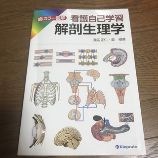 解剖生理学 超カラ－図解看護自己学習(健康/医学)