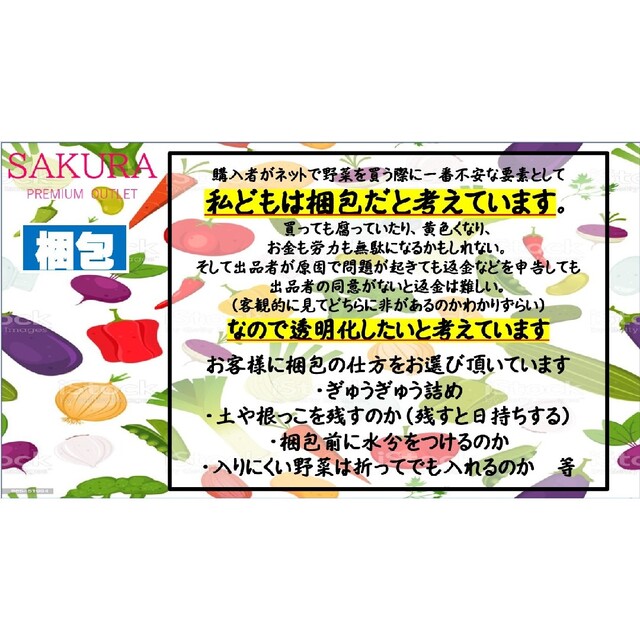 【宅急便80サイズ】神奈川県ブランド 農家直送 季節野菜の詰め合わせ 食品/飲料/酒の食品(野菜)の商品写真
