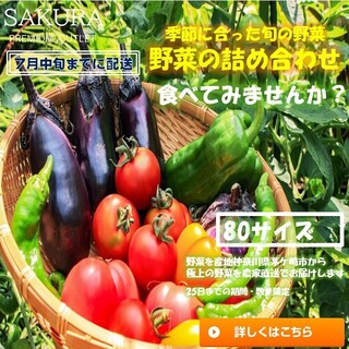 【宅急便80サイズ】神奈川県ブランド 農家直送 季節野菜の詰め合わせ(野菜)