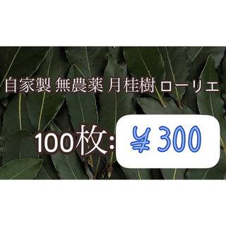 自家製 無農薬 月桂樹 ローリエ 100枚￥300~(野菜)