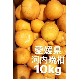 愛媛県産　宇和ゴールド　河内晩柑　10kg(フルーツ)