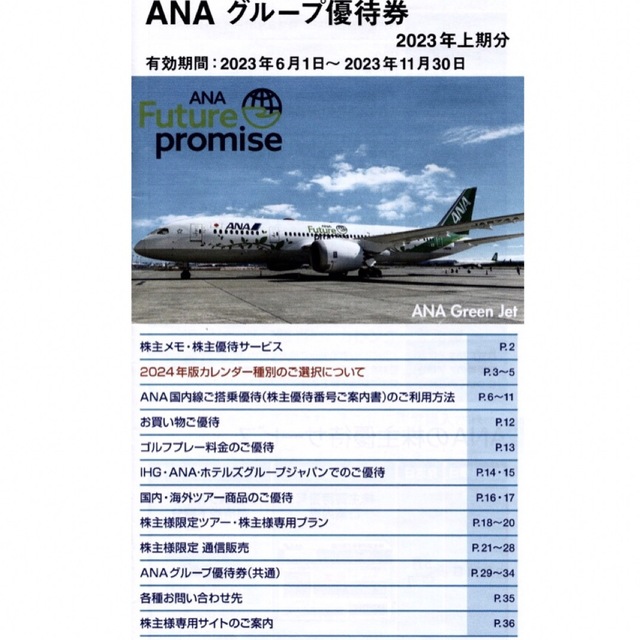 ANA(全日本空輸)(エーエヌエー(ゼンニッポンクウユ))のANA 株主優待 2枚 / グループ優待券 1冊 チケットの乗車券/交通券(航空券)の商品写真