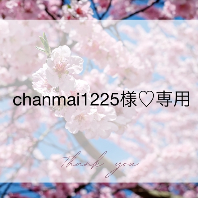 chanmai1225様 キッズ/ベビー/マタニティのマタニティ(母子手帳ケース)の商品写真