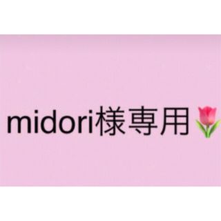 midori様専用です(その他)