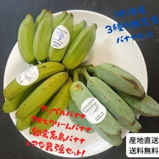 沖縄本島北部産！国産希少バナナ３種！食べ比べ！３種バナナセット！(フルーツ)