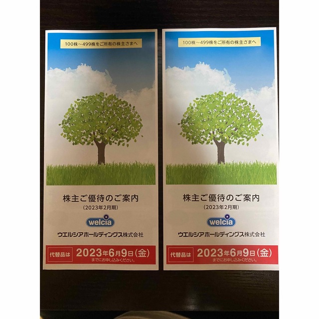 ウエルシア 6000円優待券/割引券