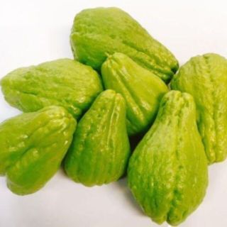 炒め物やピクルスに！沖縄産 食用ハヤトウリ 無農薬おまかせ2kg(野菜)