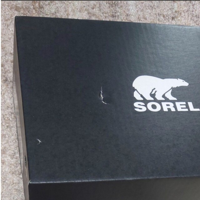 SOREL(ソレル)のソレル スニーカー キネティックブレイクスルーデイレース レディースの靴/シューズ(スニーカー)の商品写真