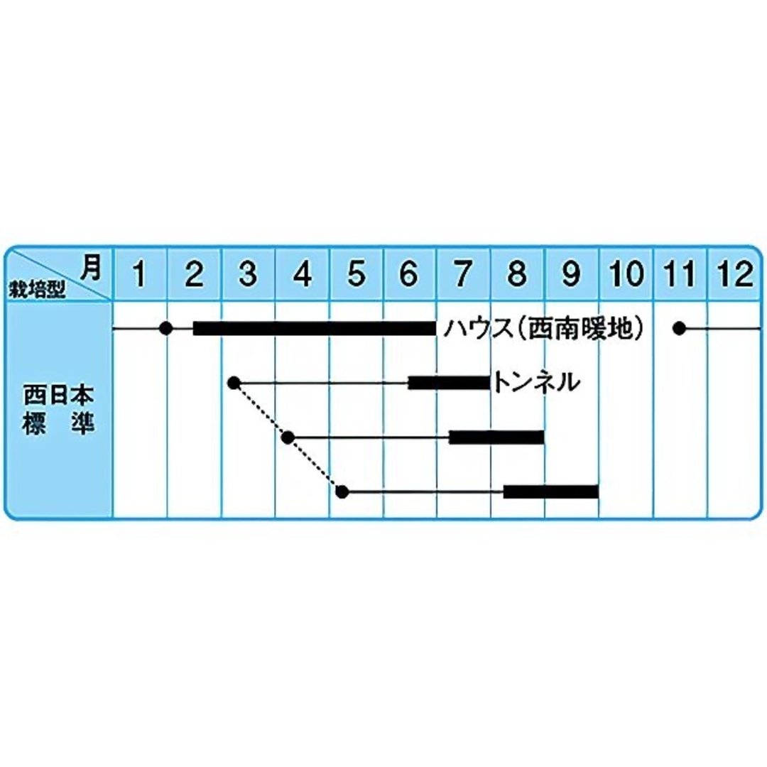 らいむ様専用　セレクト種子 食品/飲料/酒の食品(野菜)の商品写真