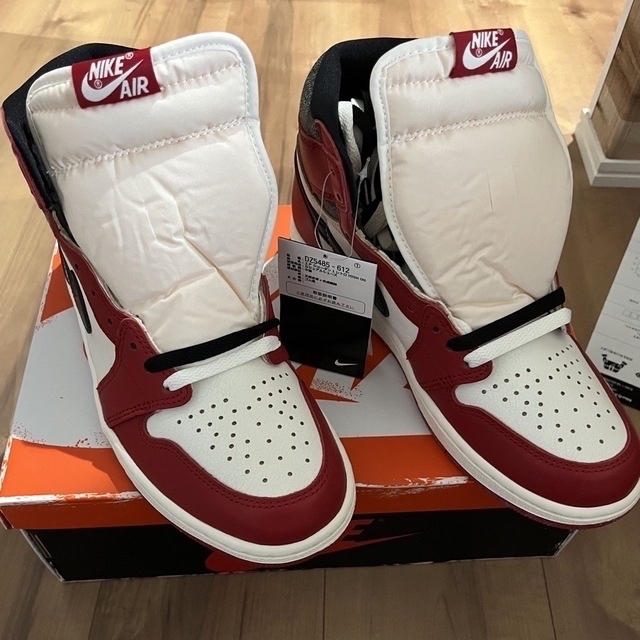 Nike air jordan1 Chicago lost and found