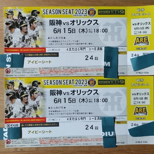 阪神タイガース(ハンシンタイガース)の2023年6月15日(木)甲子園球場阪神VSオリックス1塁アイビーペアチケット チケットのスポーツ(野球)の商品写真