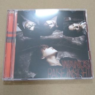 WANDS　RAISE INSIGHT通常盤CD+Blu-ray　シリアルなし(ポップス/ロック(邦楽))