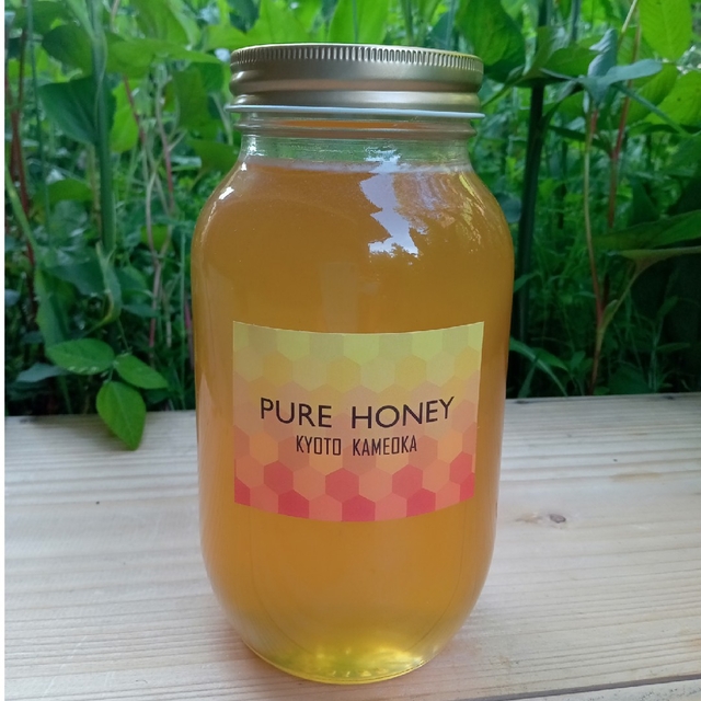 国産　純粋　蜂蜜　はちみつ　1.2kg　京都産