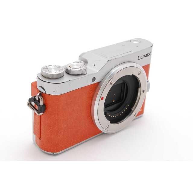 ☆ 4K撮影!スマホ転送&自撮☆ Panasonic LUMIX GF9 ☆ | www
