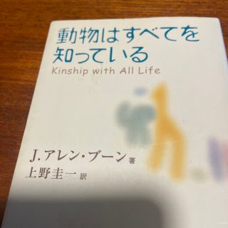 動物はすべてを知っている(その他)