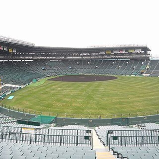 7月17日阪神vs中日　甲子園ライトスタンドペア券