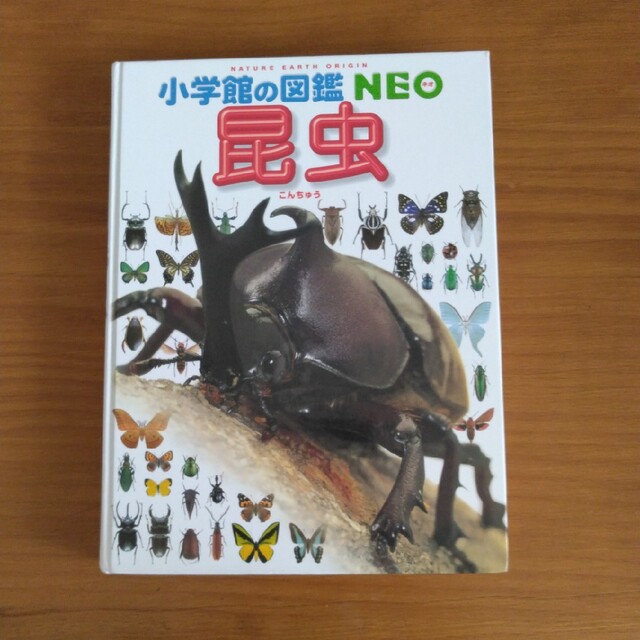 小学館(ショウガクカン)の小学館の図鑑NEO 昆虫 エンタメ/ホビーの本(絵本/児童書)の商品写真