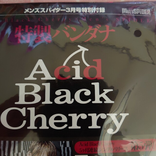 Acid Black Cherry バンダナ エンタメ/ホビーのタレントグッズ(ミュージシャン)の商品写真