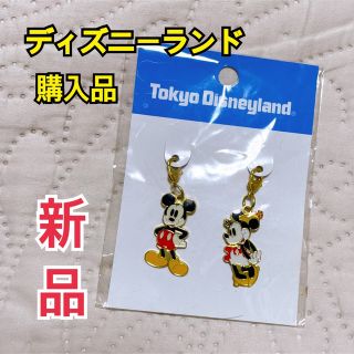 ディズニー(Disney)のディズニーランド購入品　ペア(チャーム)