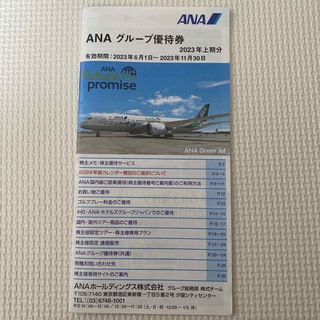 エーエヌエー(ゼンニッポンクウユ)(ANA(全日本空輸))のANAグループ優待券(航空券)