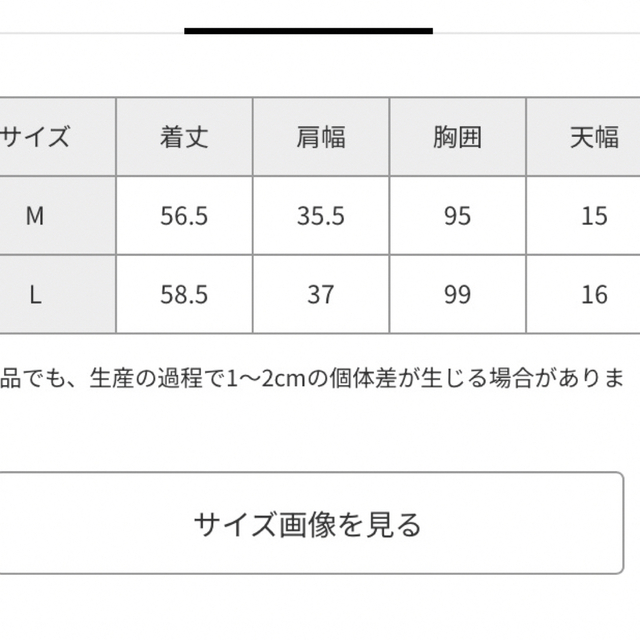 STUDIO CLIP(スタディオクリップ)のスタディオクリップ　14Gクールコットンクルーネックプルオーバー レディースのトップス(タンクトップ)の商品写真