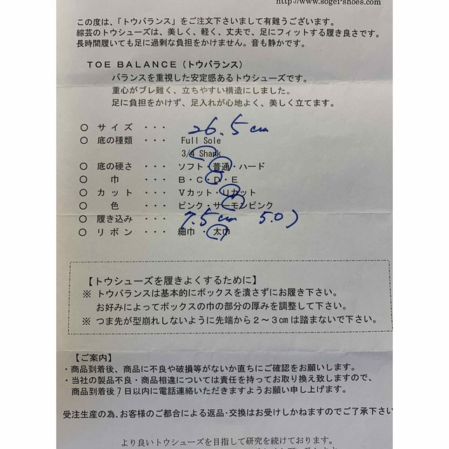 トウシューズ　綜芸　新品未使用　25 スポーツ/アウトドアのスポーツ/アウトドア その他(ダンス/バレエ)の商品写真