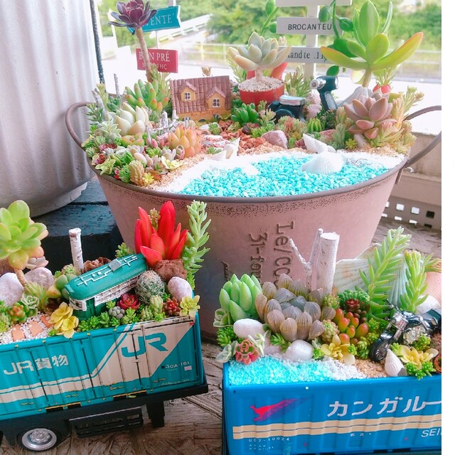 多肉植物  寄せ植え  オーダー受付中 ハンドメイドのフラワー/ガーデン(その他)の商品写真