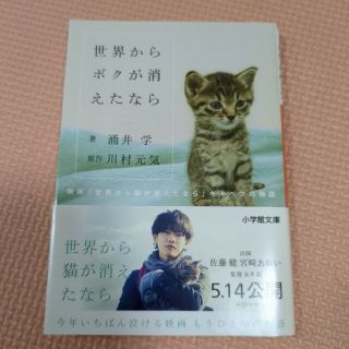 世界からボクが消えたなら 映画「世界から猫が消えたなら」キャベツの物語(その他)