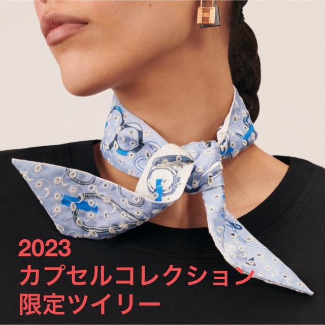 エルメス ツイリー 2023 限定 カプセルコレクション ドレブックル 新品