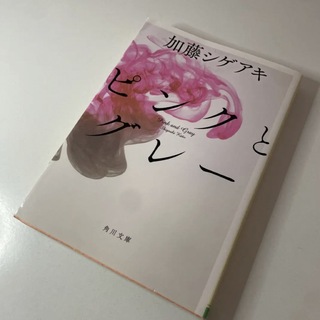 ピンクとグレー(文学/小説)
