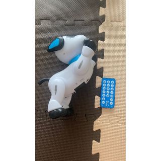 STUNT DOG   犬　おもちゃ　ロボット(その他)