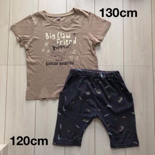 130cm 恐竜 半袖Tシャツ＆120cm ハーフパンツ 上下セット(Tシャツ/カットソー)