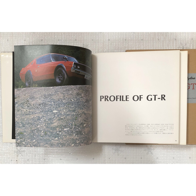 日産(ニッサン)のスカイライン GT-R　creative boutique NEKO 自動車/バイクの自動車(カタログ/マニュアル)の商品写真