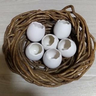 植木鉢・卵形ミニ鉢かごセット・値下げ不可(花瓶)