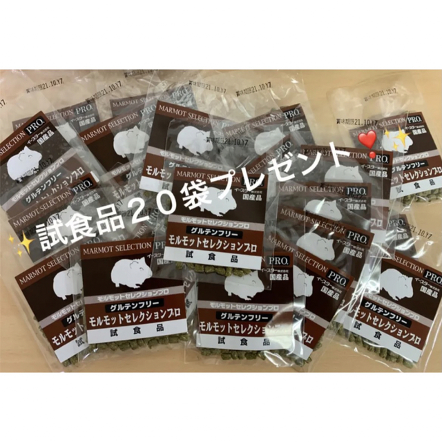 【数量限定!SALE!】モルモットセレクションプ600g×5袋&試食品プレゼント