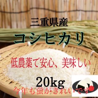 三重県産コシヒカリ20kg   精米出来ます(米/穀物)