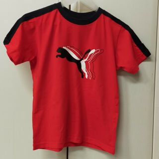 プーマ(PUMA)のPUMA　キッズ140センチ(Tシャツ/カットソー)