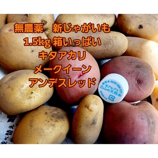 無農薬　新じゃが芋【キタアカリ・メークイーン・アンデスレッド】箱いっぱい1.5k(野菜)
