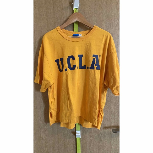 BEAMS BOY(ビームスボーイ)のビームスボーイ　Tシャツ　UCLA レディースのトップス(Tシャツ(半袖/袖なし))の商品写真