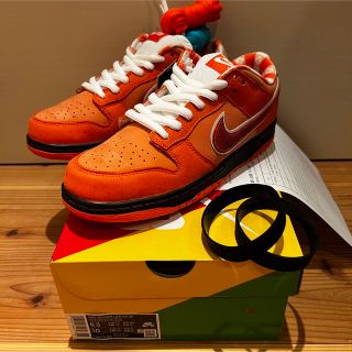 ナイキ(NIKE)のConcepts × Nike SB Dunk Low SP (スニーカー)