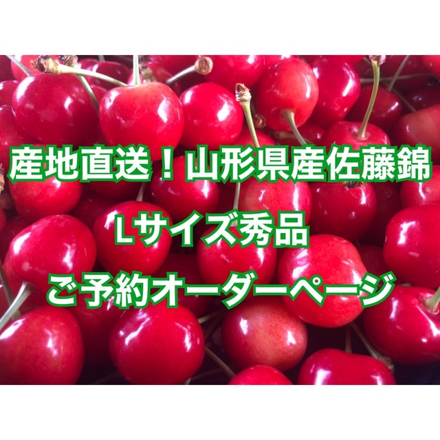 【早割SALE】産地直送！山形県産さくらんぼ　佐藤錦　Lサイズ　秀品　500g 食品/飲料/酒の食品(フルーツ)の商品写真