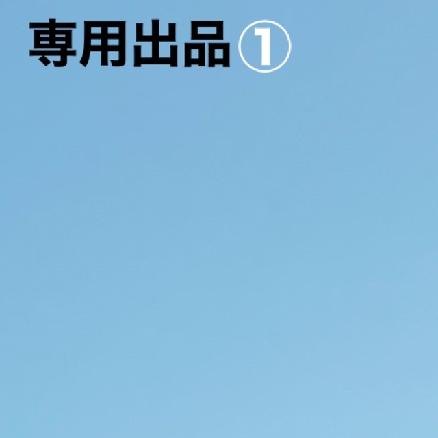 専用出品①新品未開封 AirTag(4個入)×4本 - その他