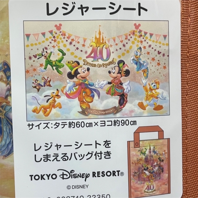 Disney(ディズニー)のレジャーシート　新品　ディズニー　リゾート　４０周年　ドリームゴーラウンド エンタメ/ホビーのおもちゃ/ぬいぐるみ(キャラクターグッズ)の商品写真