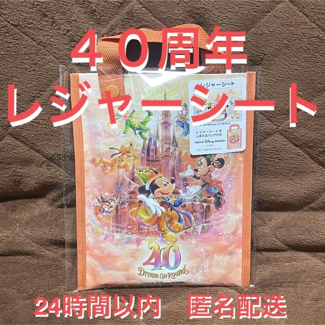 Disney(ディズニー)のレジャーシート　新品　ディズニー　リゾート　４０周年　ドリームゴーラウンド エンタメ/ホビーのおもちゃ/ぬいぐるみ(キャラクターグッズ)の商品写真