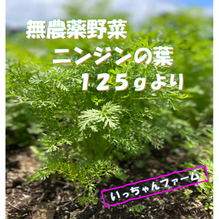 安全・安心野菜　ニンジンの葉（間引きニンジン）　２００ｇ(野菜)